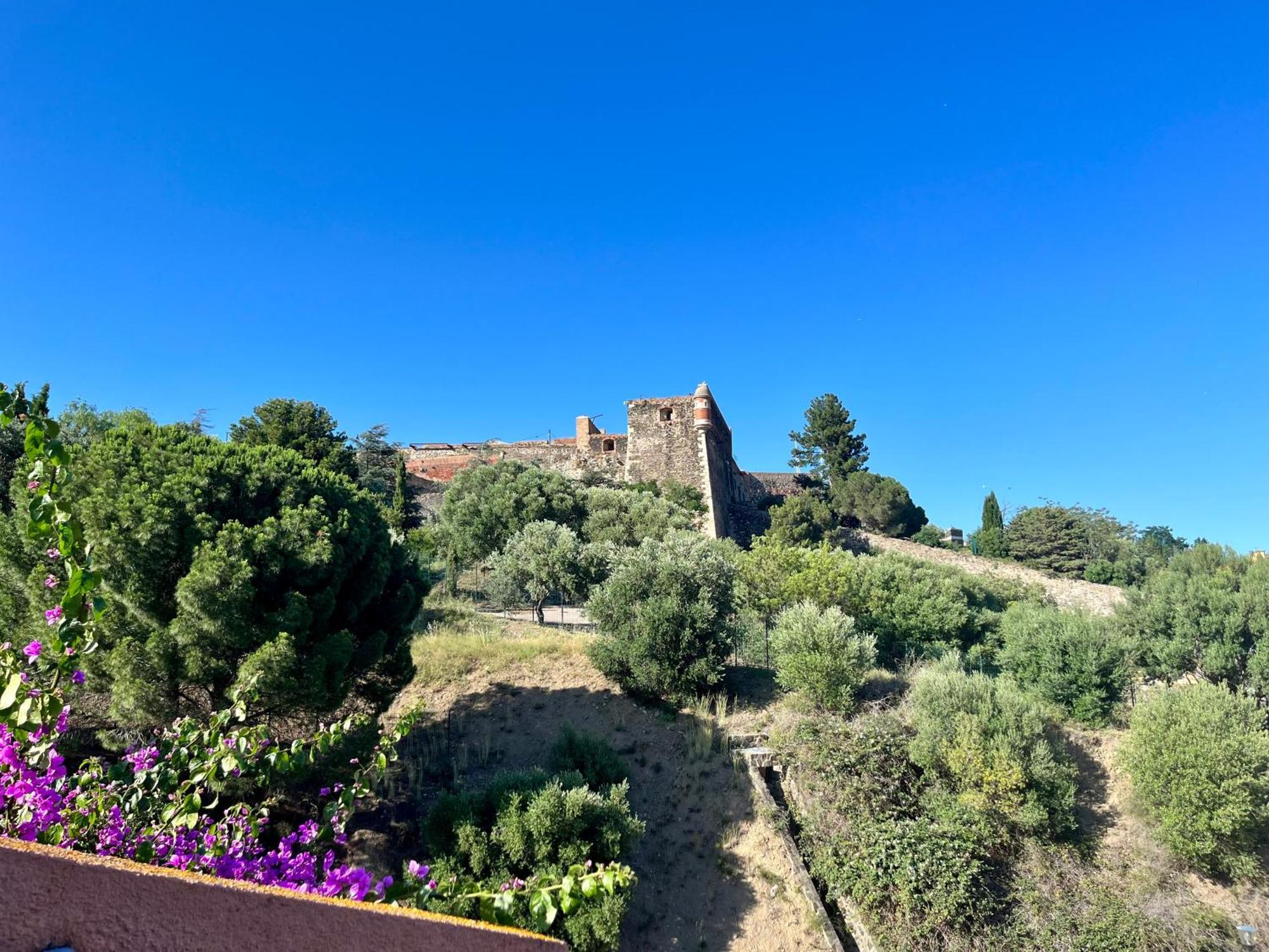 Appartement Collioure, Grande Terrasse Et Parking المظهر الخارجي الصورة