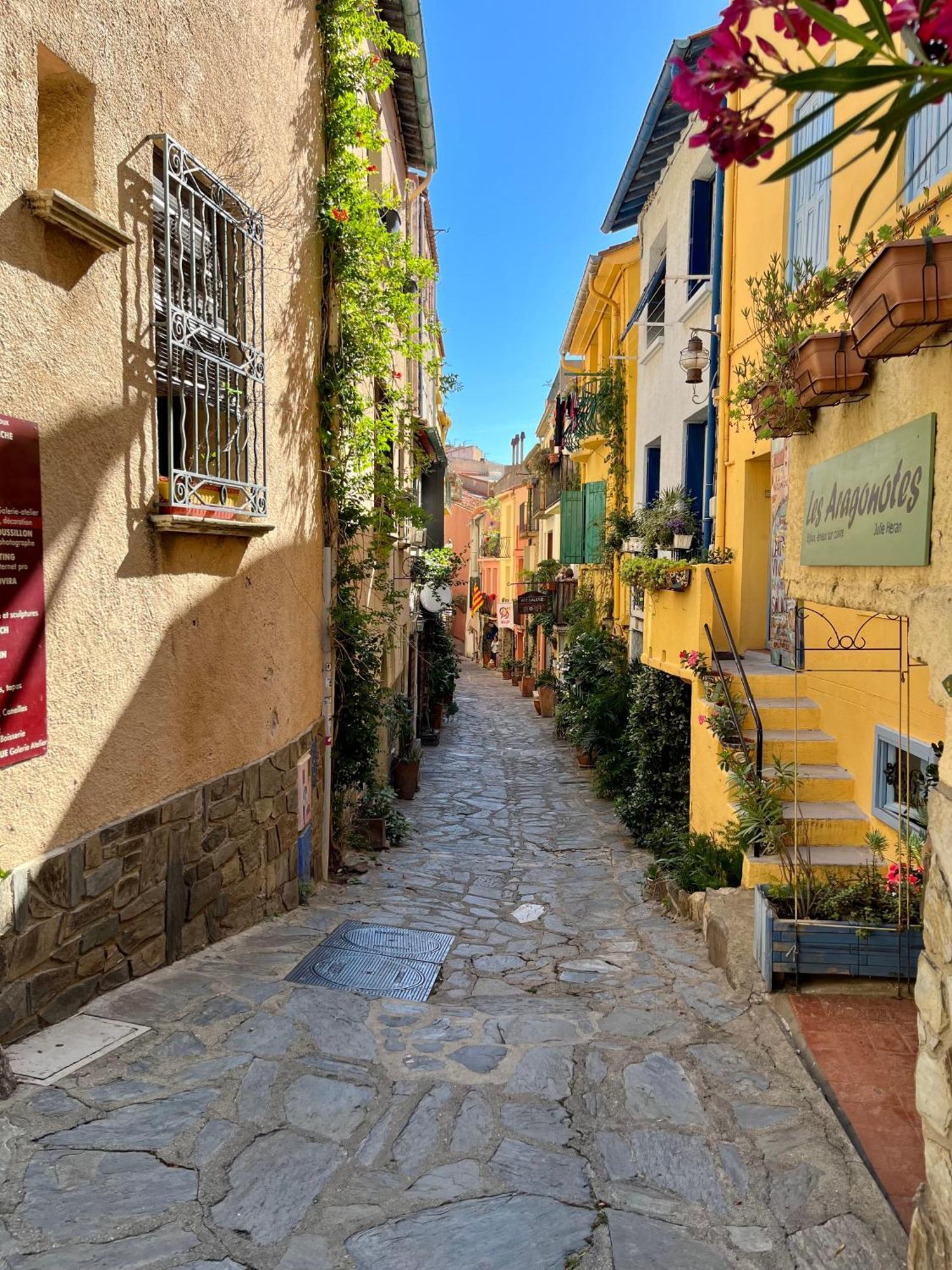 Appartement Collioure, Grande Terrasse Et Parking المظهر الخارجي الصورة